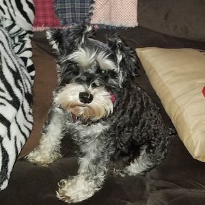 Meet your Posher, Tori